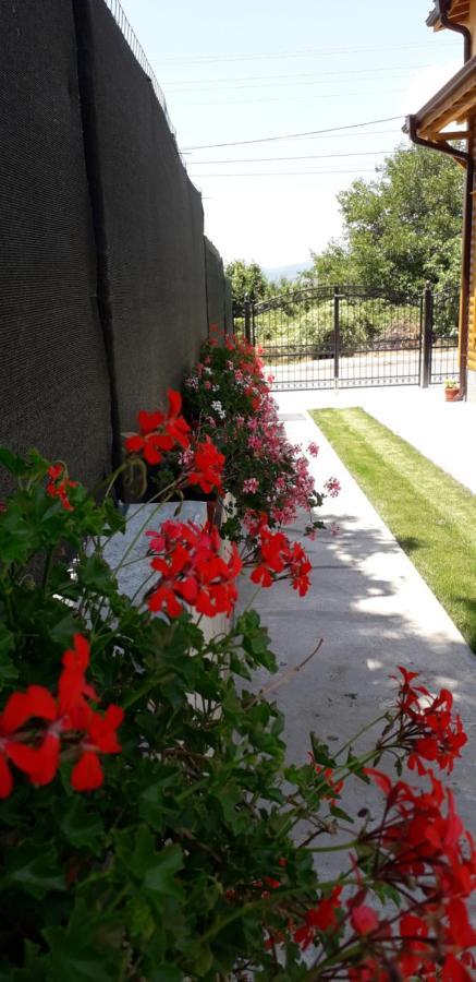 Guest House Ideal Sapareva Banya Extérieur photo