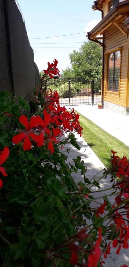 Guest House Ideal Sapareva Banya Extérieur photo